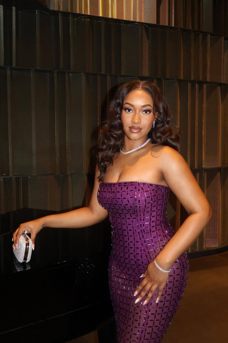 MARIA SPARKLE MESH DRESS