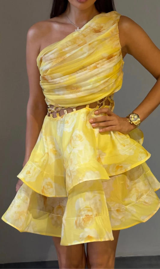 SIENA FLORAL MINI DRESS