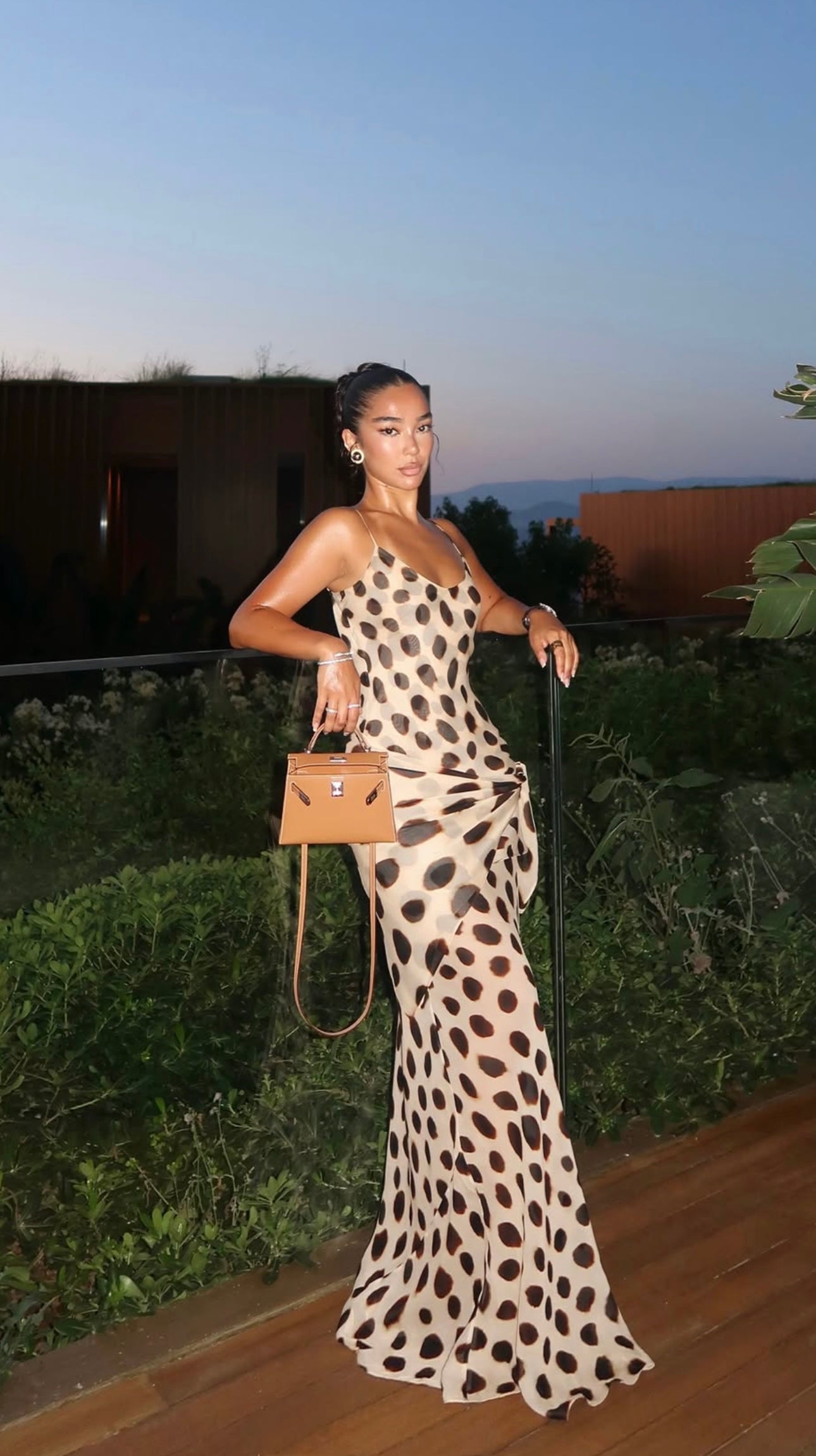Farah Animal Print Maxi Dress