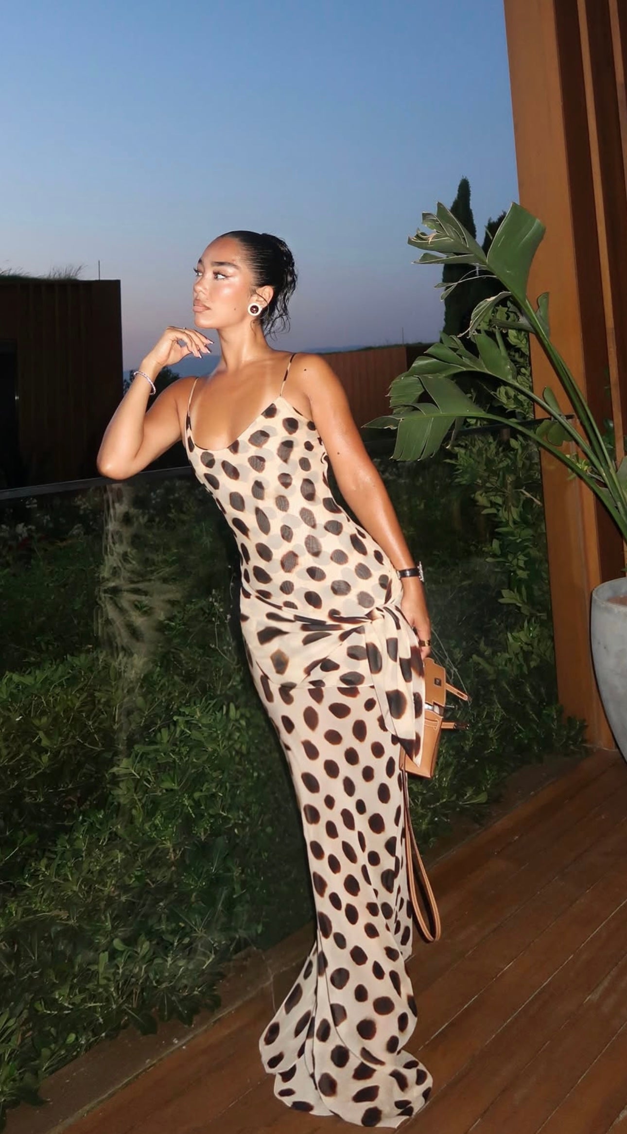 Farah Animal Print Maxi Dress