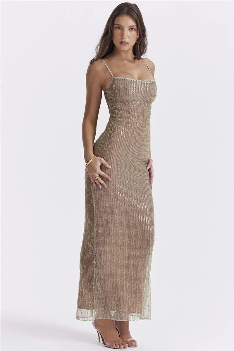 ERNE MAXI DRESS