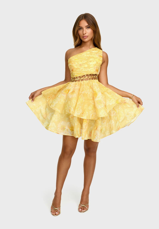 SIENA FLORAL MINI DRESS