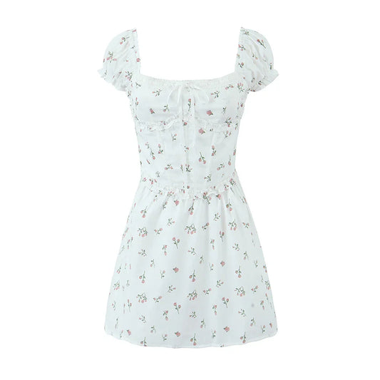 44819775193343|44819775226111|44819775258879